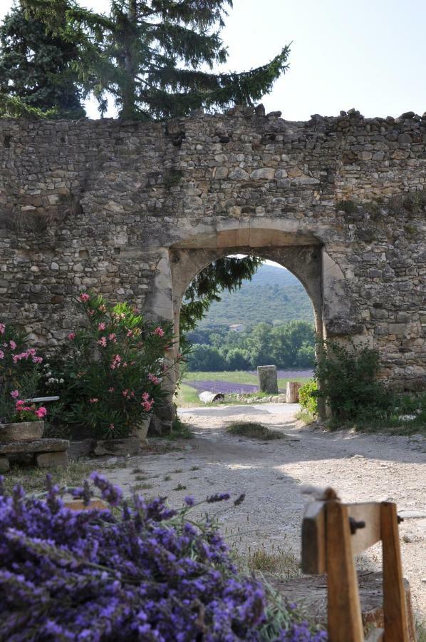 Gites Du Chateau D'Alencon Le Pegue エクステリア 写真