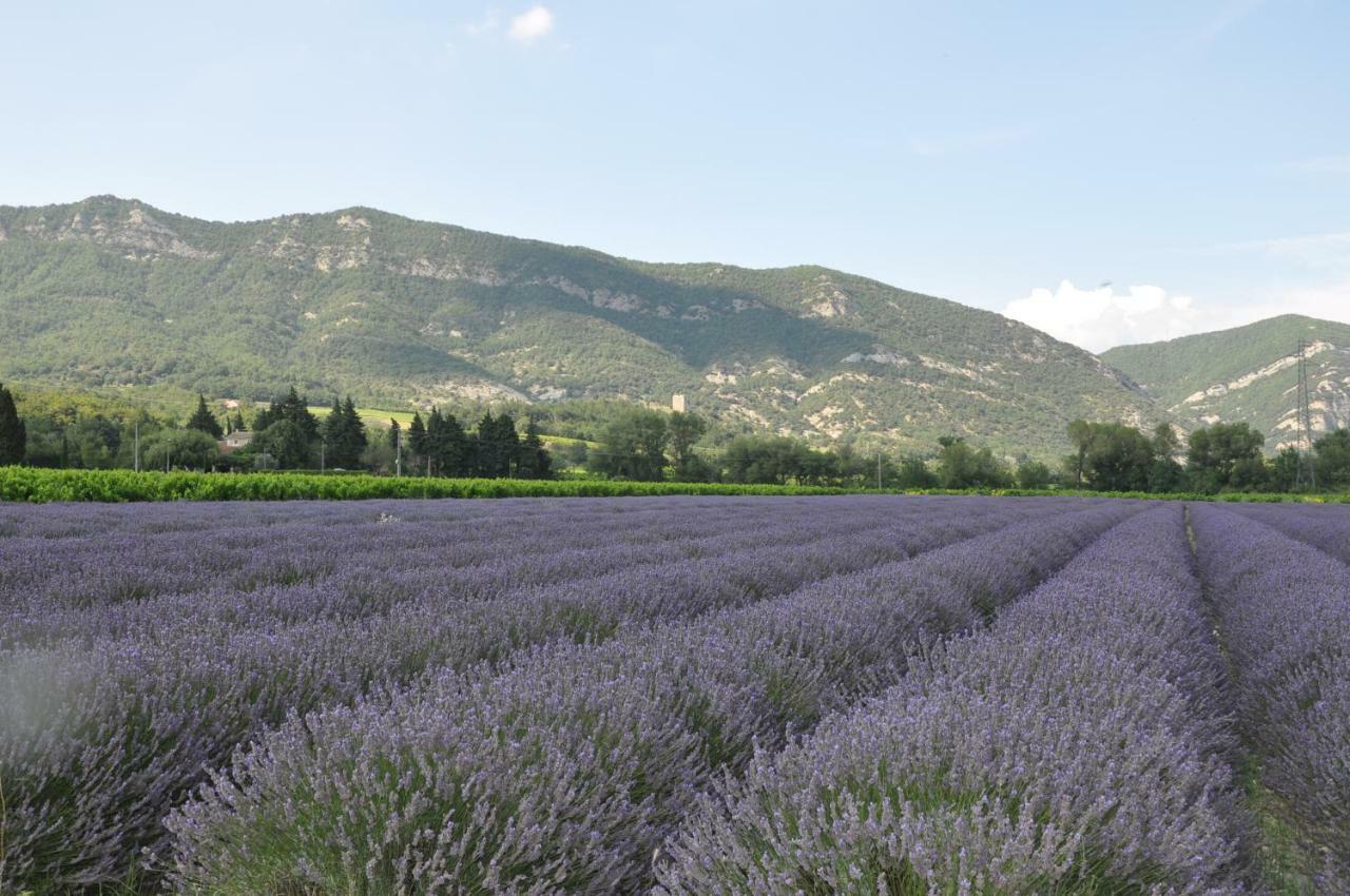 Gites Du Chateau D'Alencon Le Pegue エクステリア 写真