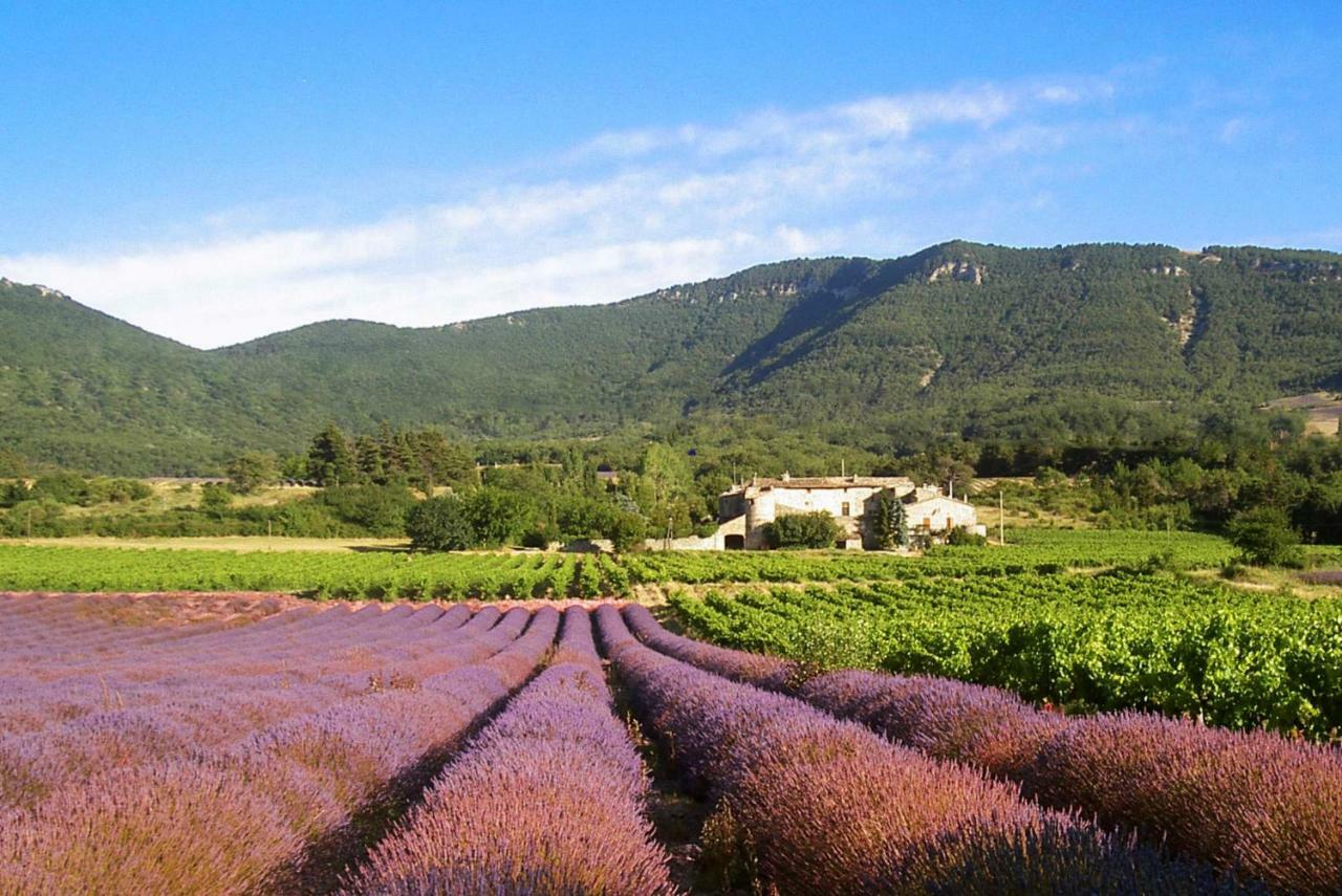 Gites Du Chateau D'Alencon Le Pegue エクステリア 写真