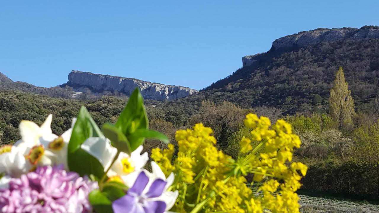 Gites Du Chateau D'Alencon Le Pegue エクステリア 写真