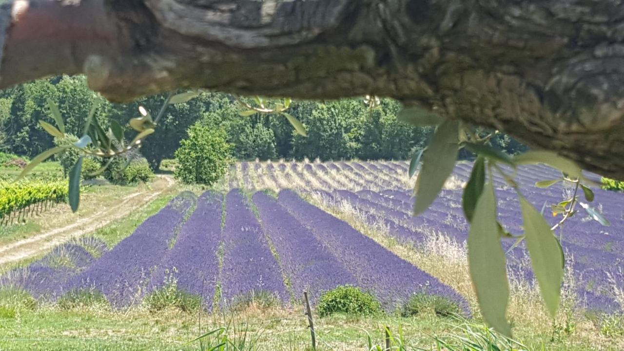 Gites Du Chateau D'Alencon Le Pegue エクステリア 写真