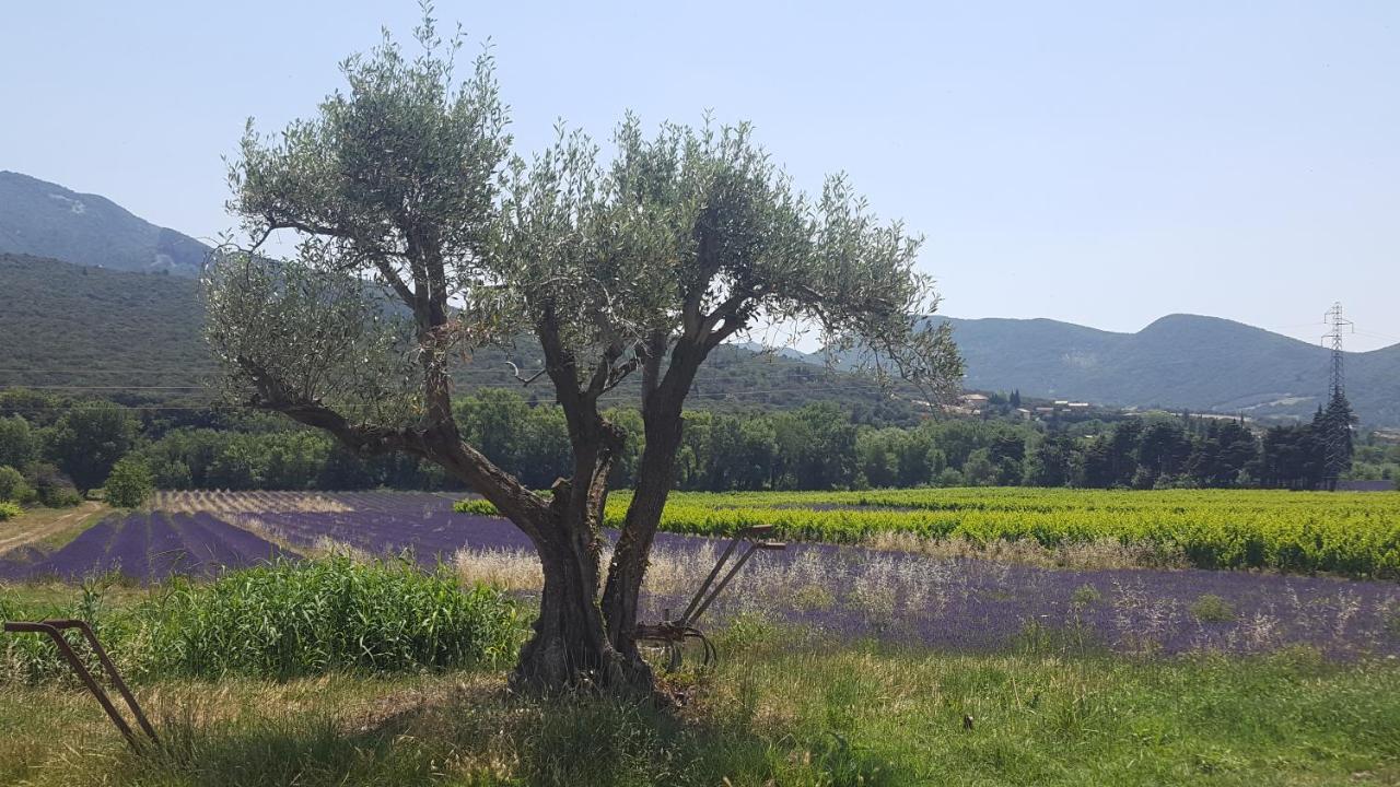 Gites Du Chateau D'Alencon Le Pegue エクステリア 写真